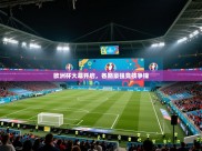 开云体育入口手机版-欧洲杯大幕开启，各路豪强竞技争锋