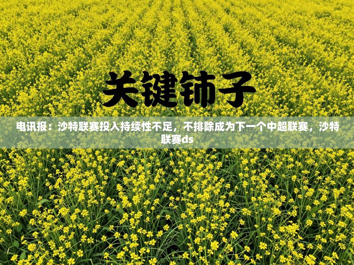 开云体育app在线-电讯报：沙特联赛投入持续性不足，不排除成为下一个中超联赛，沙特联赛ds  第2张