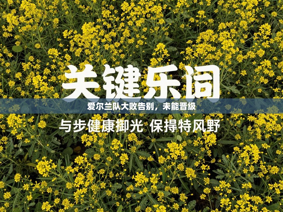 开云赛事直播-爱尔兰队大败告别,未能晋级 第2张